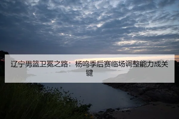 liao-ning-nan-lan-wei-mian-zhi-lu-yang-ming-ji-hou-sai-lin-chang-tiao-zheng-neng-li-cheng-guan-jian-2-140.jpg