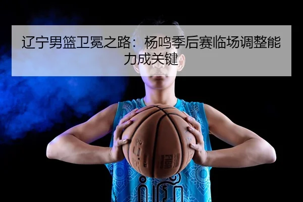 liao-ning-nan-lan-wei-mian-zhi-lu-yang-ming-ji-hou-sai-lin-chang-tiao-zheng-neng-li-cheng-guan-jian-3-483.jpg