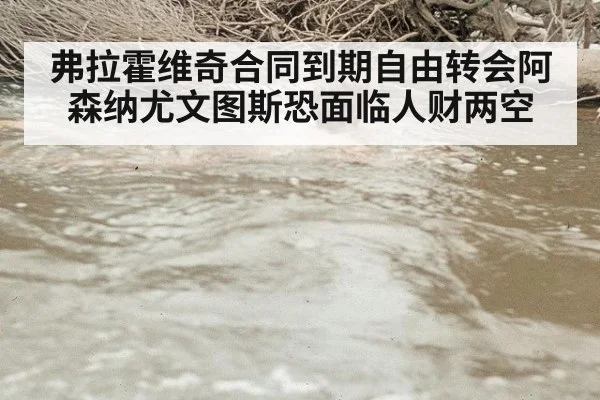 弗拉霍维奇合同到期自由转会阿森纳尤文图斯恐面临人财两空