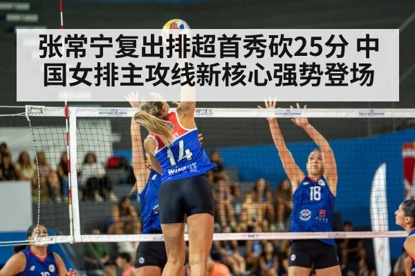 volleyball match